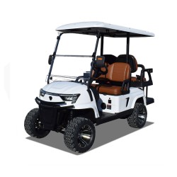 E-RIDE ER-E2CY 48V - Z2C