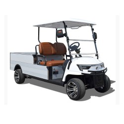 ER-EH05Y MINI TRUCK-72V Pick-up